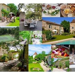 villa-mas.midi-pyreneeshotels.com/