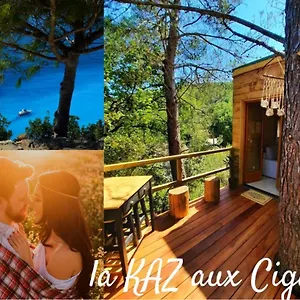 cabane-dans-les-arbres-la-kaz-aux-cigales.fr-provencehotel.com/